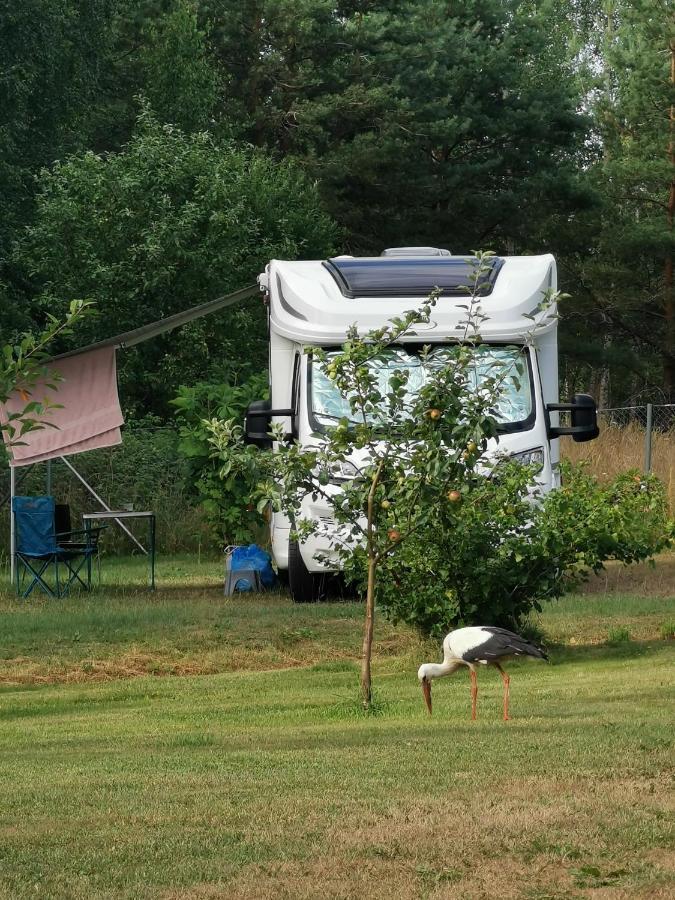 Peipsi Caravani Puhkemaja Nina Dış mekan fotoğraf
